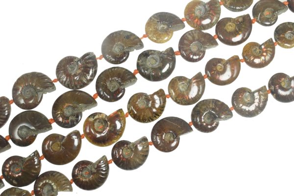 26-32mm Ammolite Bead Strand (15 Inches Long)
